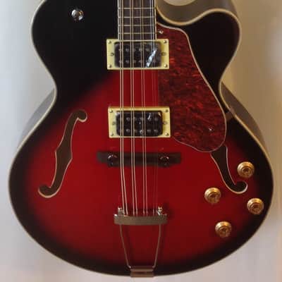 Douglas / MORTone Hollow body 8 string electric mandocello , guitar conversion image 1