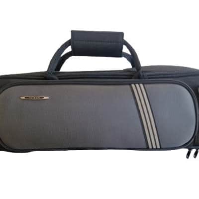 pTrumpet Silver - Excellent w/ Soft Case image 2