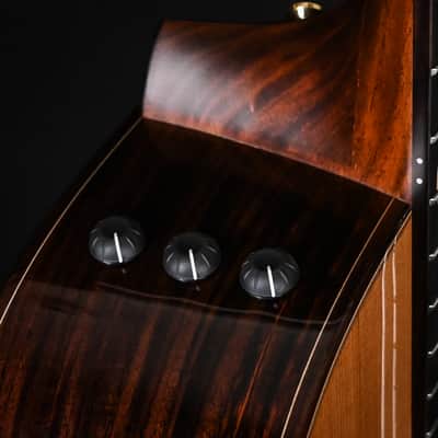 Taylor Jason Mraz Signature Model (JMSM) Nylon w/ Western Red Cedar Top & Indian Rosewood Back and Sides Acoustic-Electric Guitar 2026 (1201146085) image 8