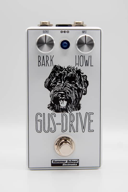 Summer School Electronics Gus-Drive image 1