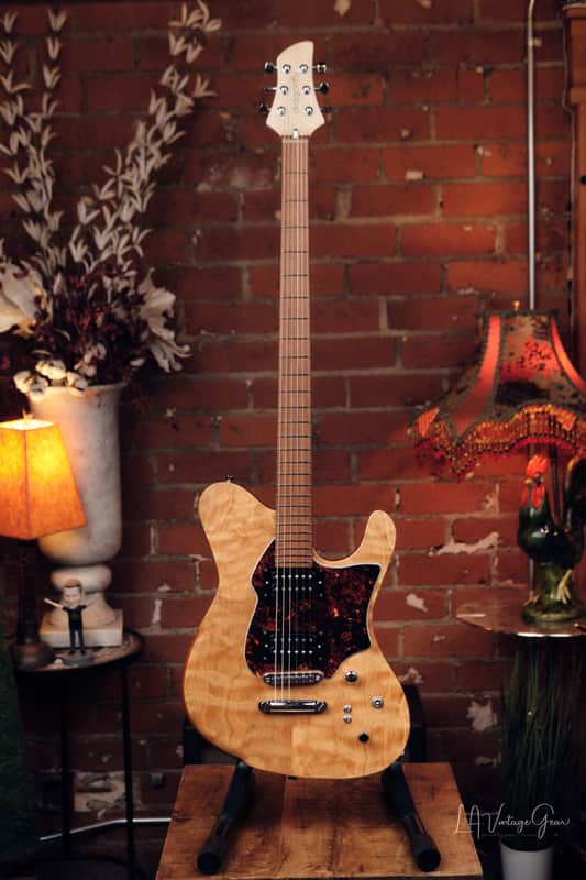 Dragon Fly Border B6 Custom - Great Bass VI! image 1
