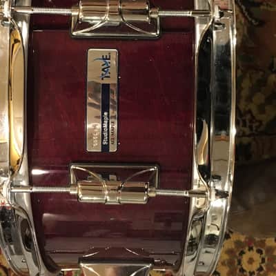 Taye Studio Maple Drums image 6