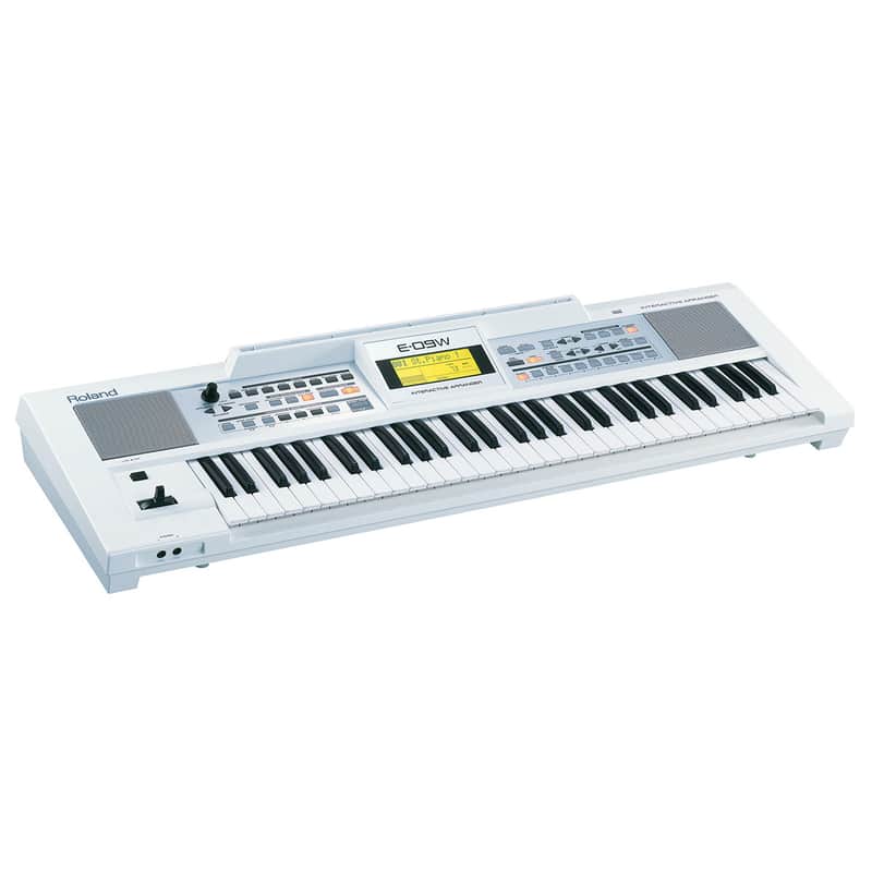 Roland E-09 61-Key Interactive Arranger image 2