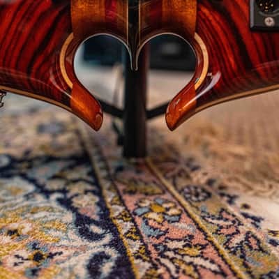 2024 Alembic Series I 5-String Cocobolo - Premium Build image 16