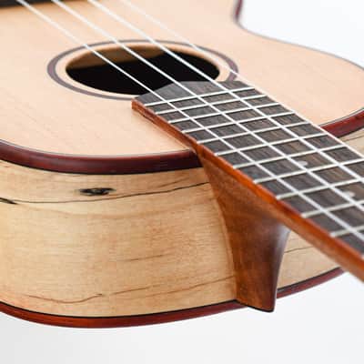 Cordoba 24T Tenor Spruce Ukuele image 11