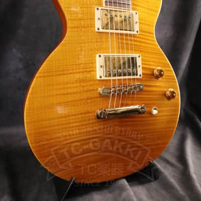 Gibson Les Paul Standard DC image 5