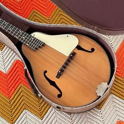 Kay Mandolin - Classic Mandolin! - Made in USA 🇺🇸- Gorgeous Sound and Great Condition! - image 15
