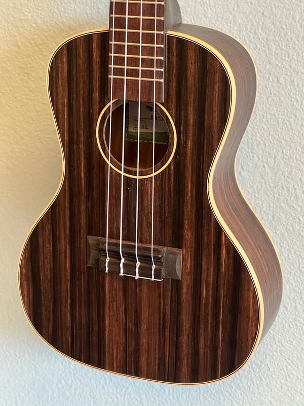 Kala KA-EBY-C Striped Ebony Concert Ukulele - Satin image 1