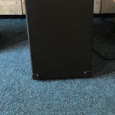 Peavey Ecoustic 112 100-Watt 1x12 Acoustic Instrument Amplification System image 3