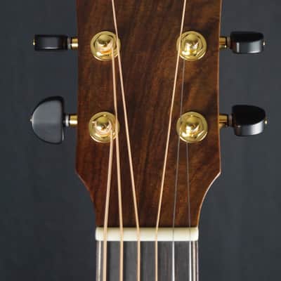 Brand New Avalon A1-Oak Cara Series with Cedar / Ancient Bog Oak image 13