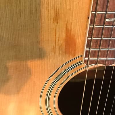 Epiphone FT-570 BL 1970’s Natural image 20