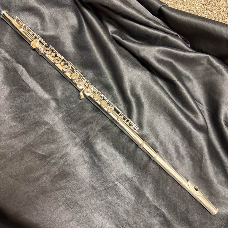 Eastman EFL-210 Flute image 1