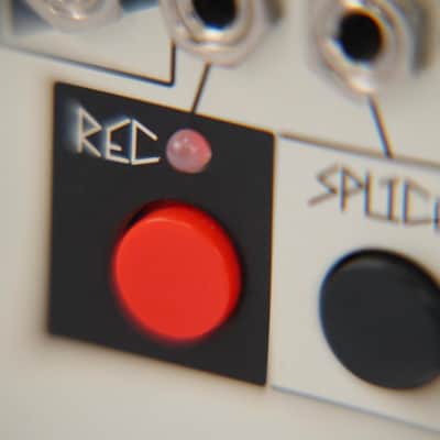 Make Noise Phonogene Eurorack Synthesizer Module w/ Box #58516 image 10