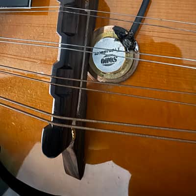 Morgan Monroe Rockytop 8 string Mandolin with Pickup image 6