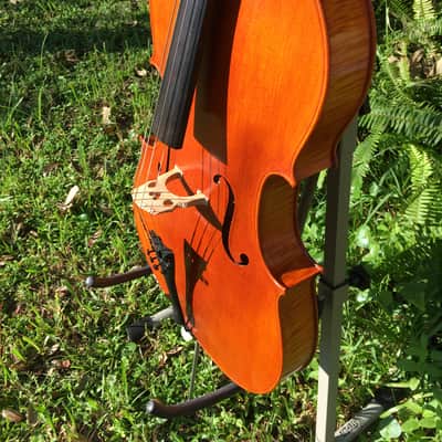 Tenor Violin (half-size cello tuned GDAE) image 3