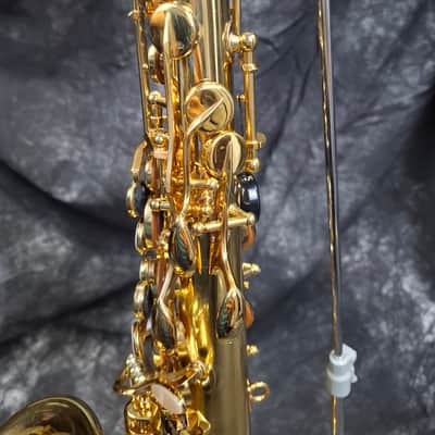 NO TARIFFS - Selmer Reference 54 Hummingbird Charlie Parker Edition Alto Saxophone image 7