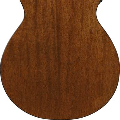 Ibanez AEG50N-NT AEG Nylon String Guitar 6-String - Natural image 14