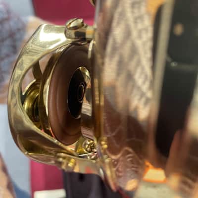 Chateau pro alto sax CAS80L - Lacquer with case and extras image 4