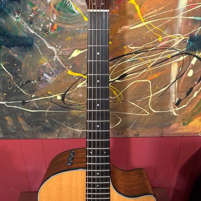 Taylor 314ce, V-Class Bracing, Natural image 3