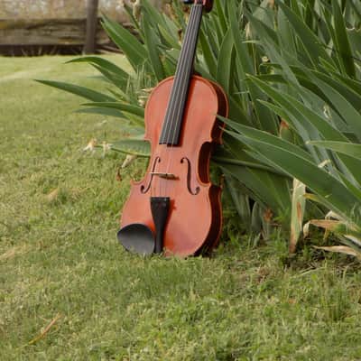 Crow Creek Fiddles Handmade Professional Violin, Red-Brown, With Beautifully Flamed Maple! image 5