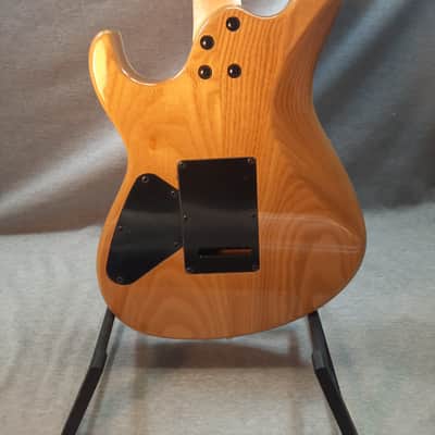 Cort G290 FAT image 2