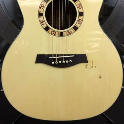Ibanez A100ENT1201 w/ Case image 4