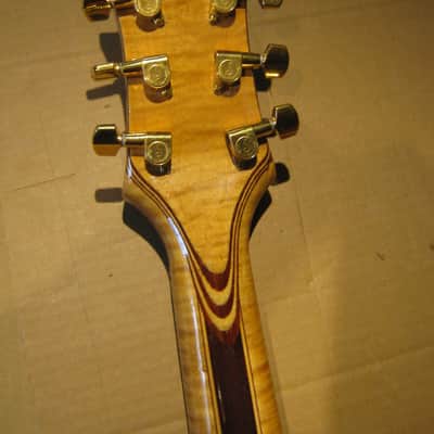 Tiger, Strad-a-Tiger #9. Jerry Garcia's Grateful Dead self built copy 2008-2024 image 10