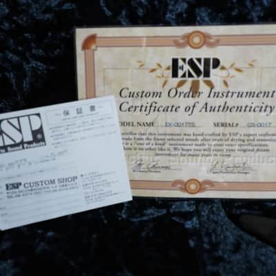 2001 ESP MX2 MX250II Explorer one-off custom order image 7