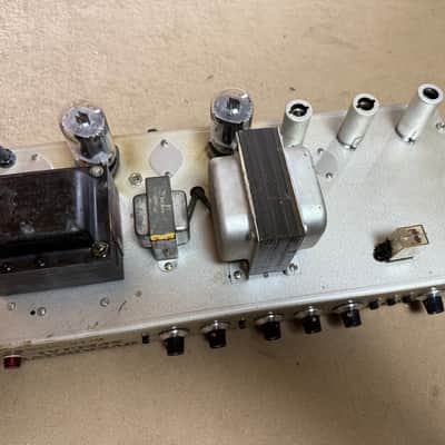 Dumble Overdrive Special WX50 1978 - gray suede image 9