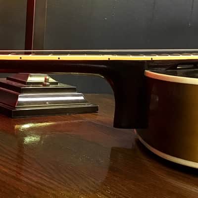 1950s Vega E-201 Archtop image 18