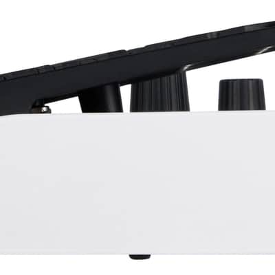 Immagine MOOER GE150 PRO - 5