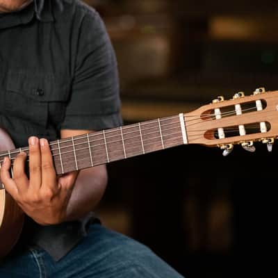 Ortega R131 Family Series Pro Solid Cedar Top Mahogany Neck Nylon 6-String Classical Acoustic Guitar w/Gig Bag image 20