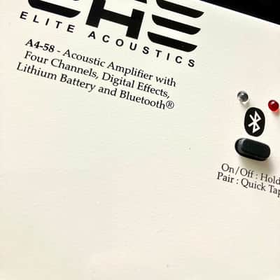 EAE A4-56 120w Acoustic Guitar Amplifier. Mixer. DFX. Bluetooth. Lithium Batteries. New & Unused. image 5