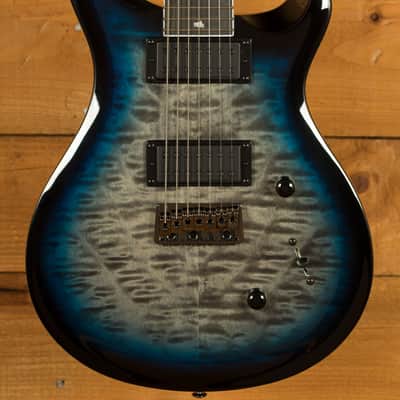 PRS SE Mark Holcomb SVN | Reverb