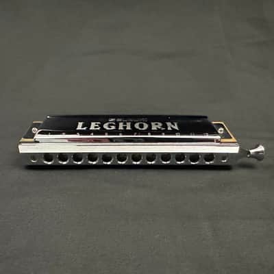 Suzuki SC-48 Leghorn 12-hole, 48-note Chromatic Harmonica, Japan image 8