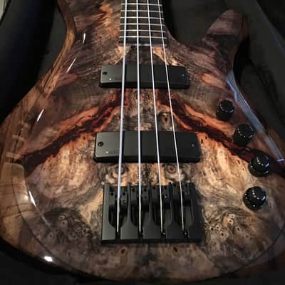 Kiesel V49K Vanquish 4 string 2017 Buckeye Burl 2017 NAMM Build image 2