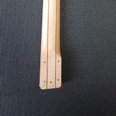 Immagine Ibanez Pgm 80P - 2