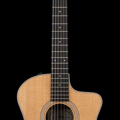Taylor 214ce-N #55525 (NAMM 2026) image 5