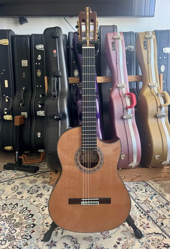 Juan Montes Rodríguez Flamenco 1ª Negra Exclusive Cutaway + LR Baggs Installed 2025 image 1