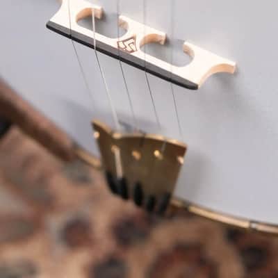 OME Banjos Gold Hill Vintage Alpha 5-String Resonator Banjo with Hardshell Case image 15