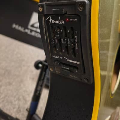 Fender Standard Telecoustic, gold image 7