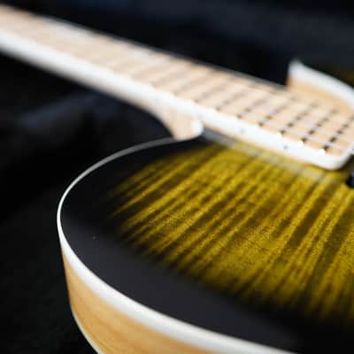 Schecter USA CUSTOM SHOP MASTERWORKS PT Nashville S/H Olive Green Sunburst w/ Tolex Case (2022) image 8