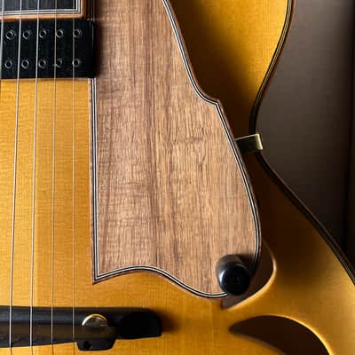 William Gagnon Composer Archtop 17" Kent Armstrong image 5