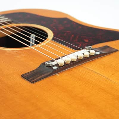 Gibson J50 1957 image 7