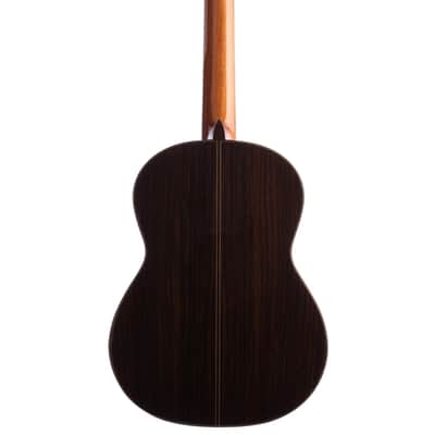 Cordoba Luthier C10 CD Nylon String Acoustic Guitar with Case Cedar Top image 5