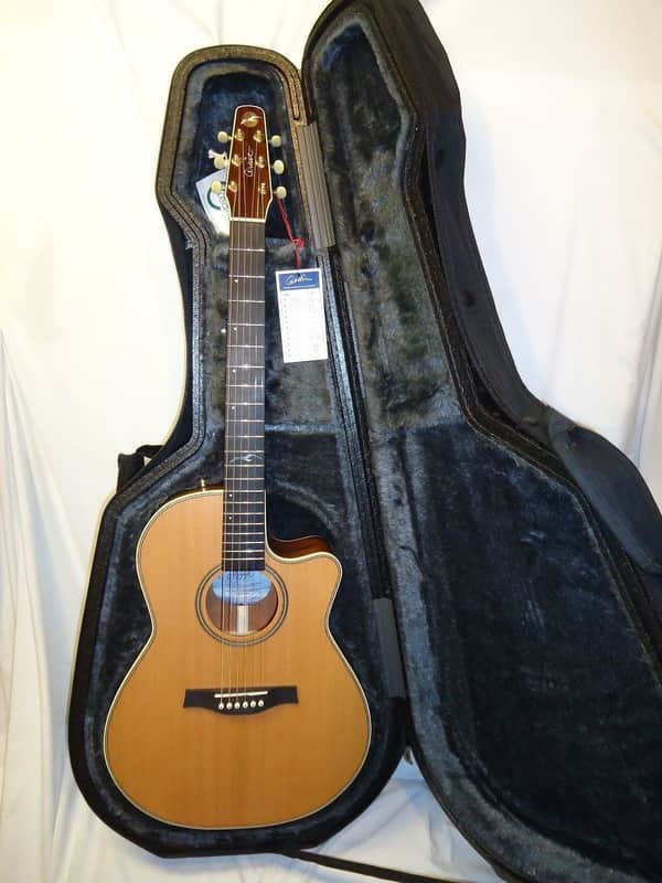Seagull Artist Mosaic CW Folk Deluxe QII Acoustic/Electric Guitar w/ Dlx TRIC Case image 1