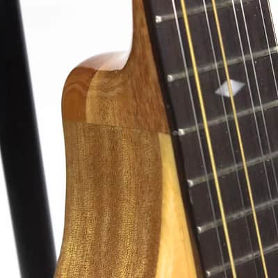 Gold Tone BZ-500 Folkternative Design Solid Spruce Top Irish Bouzouki Mandolin w/Hard Case - B-Stock image 3