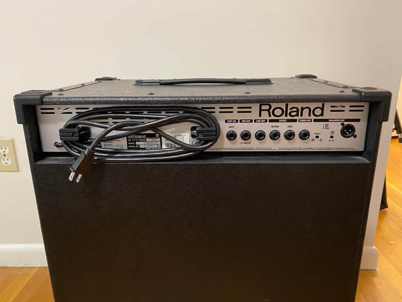Roland D-BASS 115 + D-BASS 115X 660-Watt Bass Combo Amp Rig | Reverb