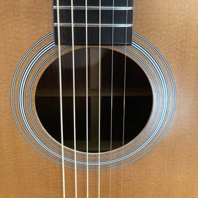 Unbranded Rosewood Dreadnought KIT Guitar image 5