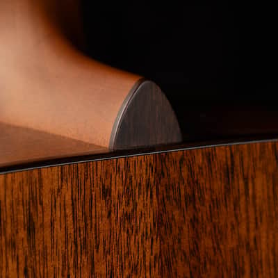 Brand New Boucher Bluegrass Goose BG-42T-G Dreadnaught with Torrefied Adirondack / Torrefied Mahogany! image 7